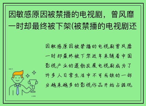 因敏感原因被禁播的电视剧，曾风靡一时却最终被下架(被禁播的电视剧还有版权吗)